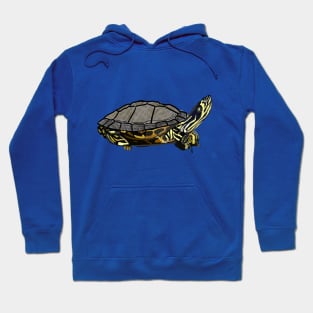 Box Turtle Hoodie